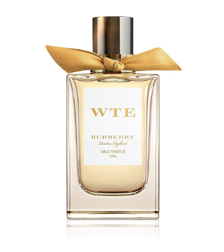 بربري وايلد ثيستل 10%